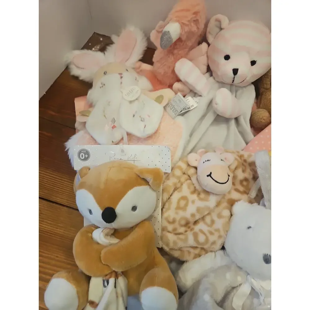Assorted Brand Lovey Security Blanket Lot Plush Neutral Girl 16 Pcs Various Size